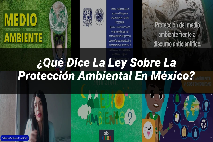 "¿Qué Dice la Ley sobre la Protección Ambiental en México?"