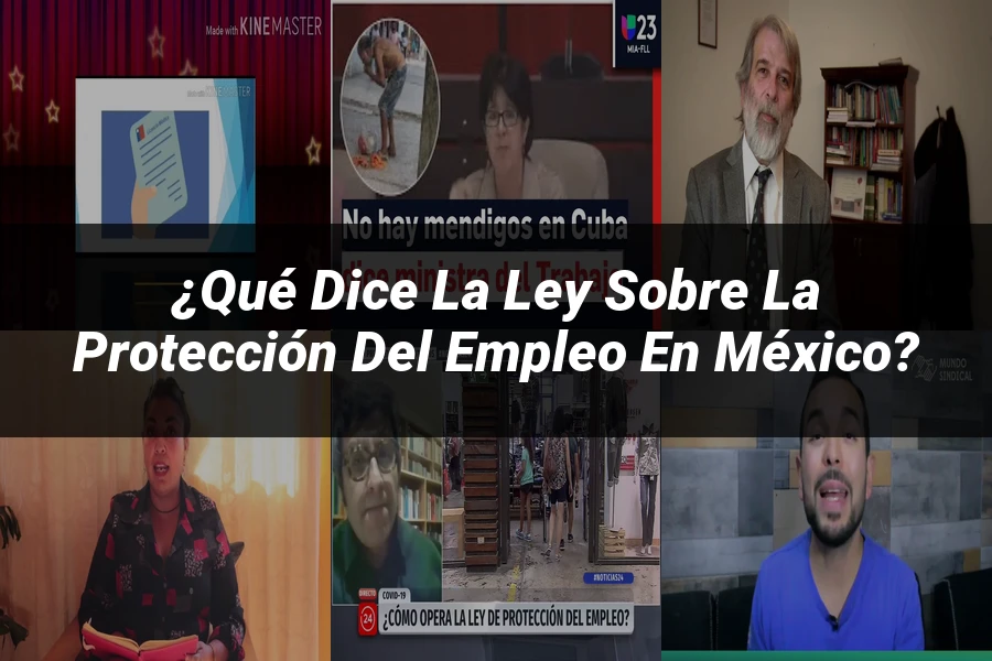 "¿Qué Dice la Ley sobre la Protección del Empleo en México?"