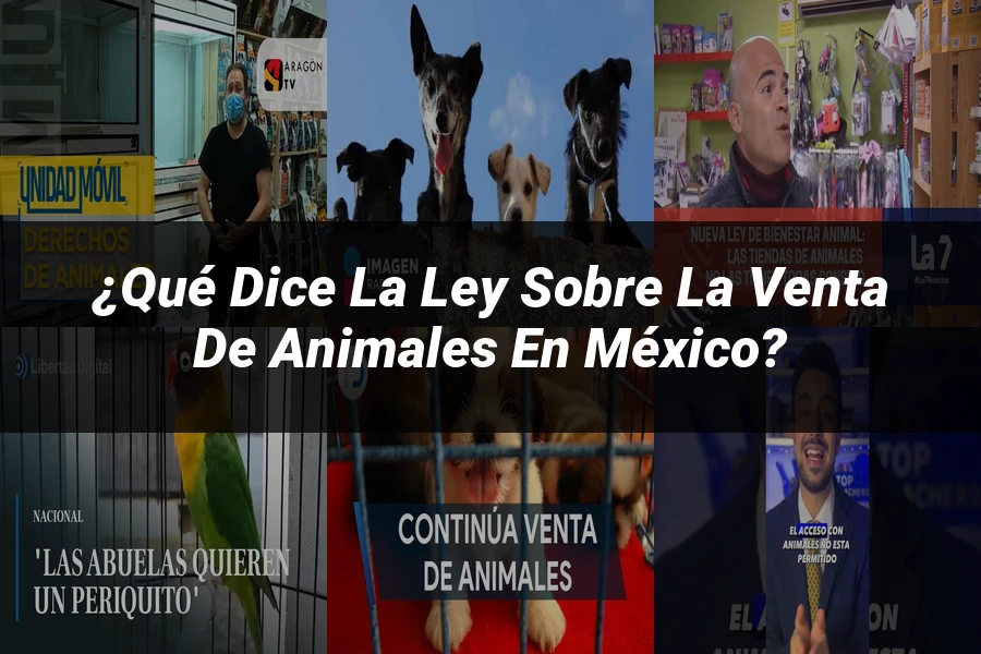 "¿Qué Dice la Ley sobre la Venta de Animales en México?"