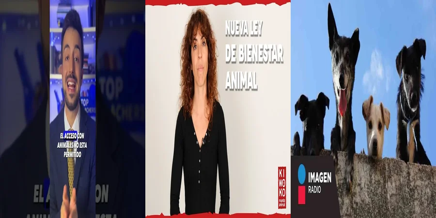 "¿Qué Dice la Ley sobre la Venta de Animales en México?"