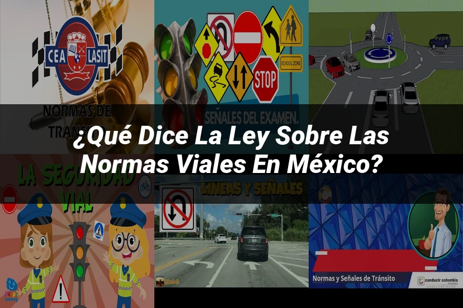 "¿Qué Dice la Ley sobre las Normas Viales en México?"