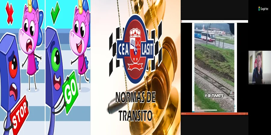 "¿Qué Dice la Ley sobre las Normas Viales en México?"