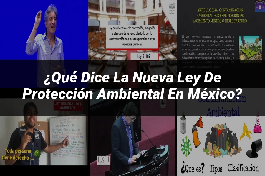 "¿Qué Dice la Nueva Ley de Protección Ambiental en México?"