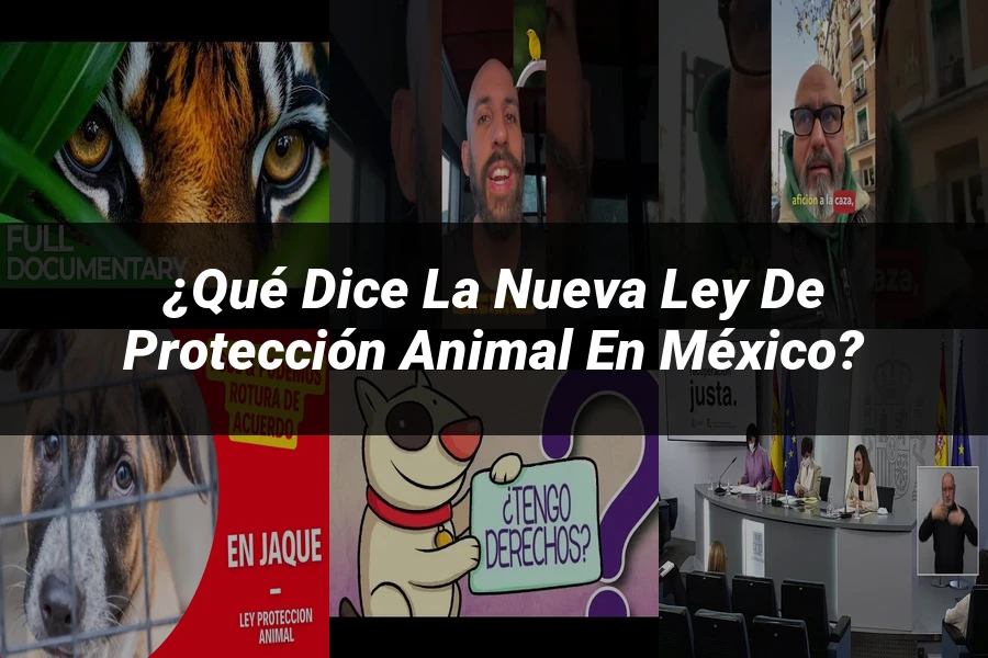 "¿Qué Dice la Nueva Ley de Protección Animal en México?"
