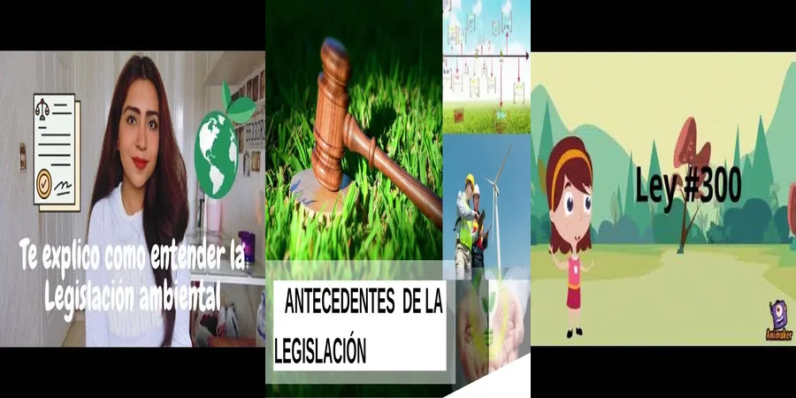 "¿Qué Dicen las Leyes Ambientales en México Sobre tus Derechos?"