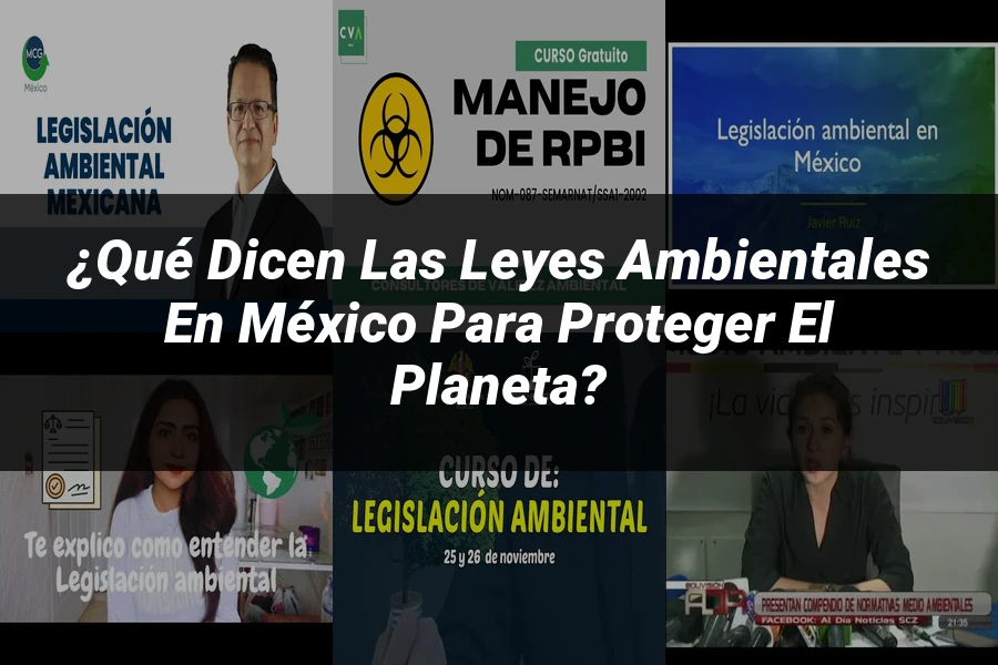 "¿Qué Dicen las Leyes Ambientales en México para Proteger el Planeta?"