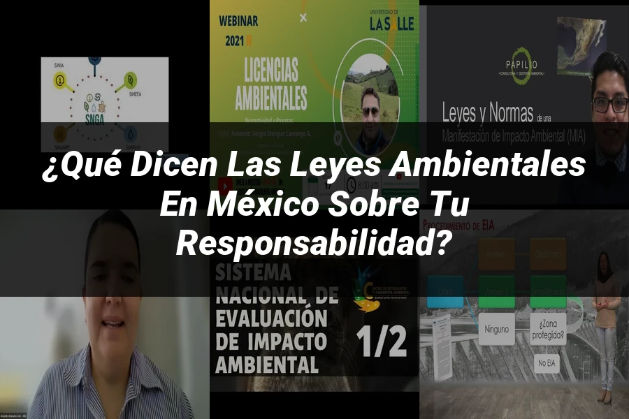 "¿Qué Dicen las Leyes Ambientales en México sobre Tu Responsabilidad?"