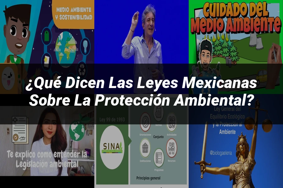 "¿Qué Dicen las Leyes Mexicanas sobre la Protección Ambiental?"