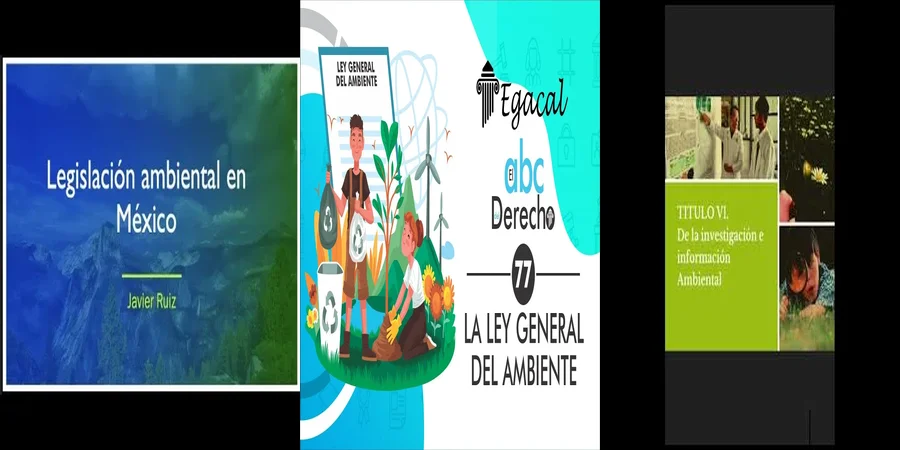 "¿Qué Dicen las Leyes Mexicanas sobre la Protección Ambiental?"