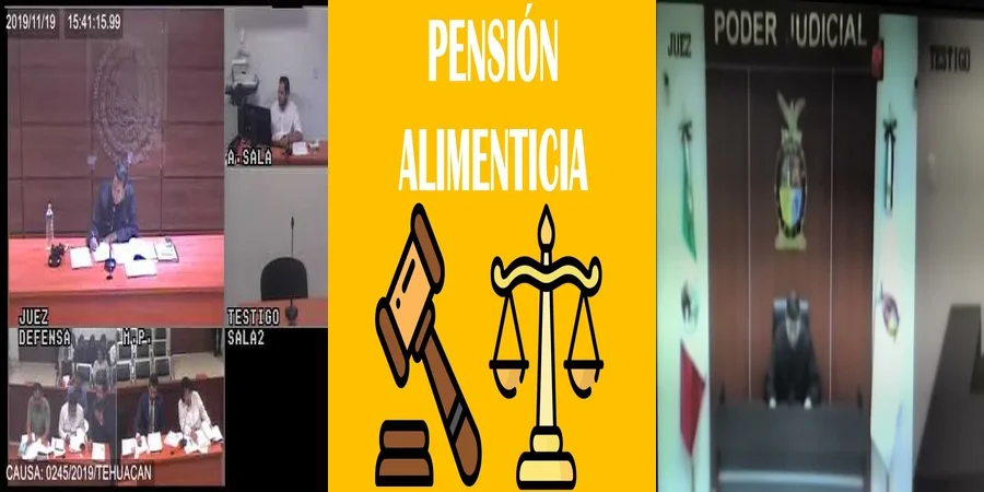 "¿Qué Dicen las Leyes en México sobre Pensión Alimenticia por Abandono?"
