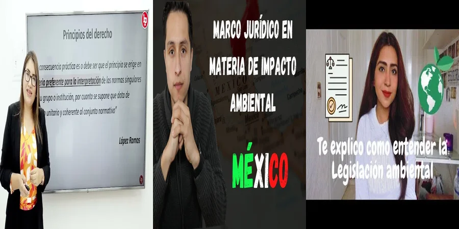 "¿Qué Dicen las Normas Ambientales en México sobre tus Derechos?"