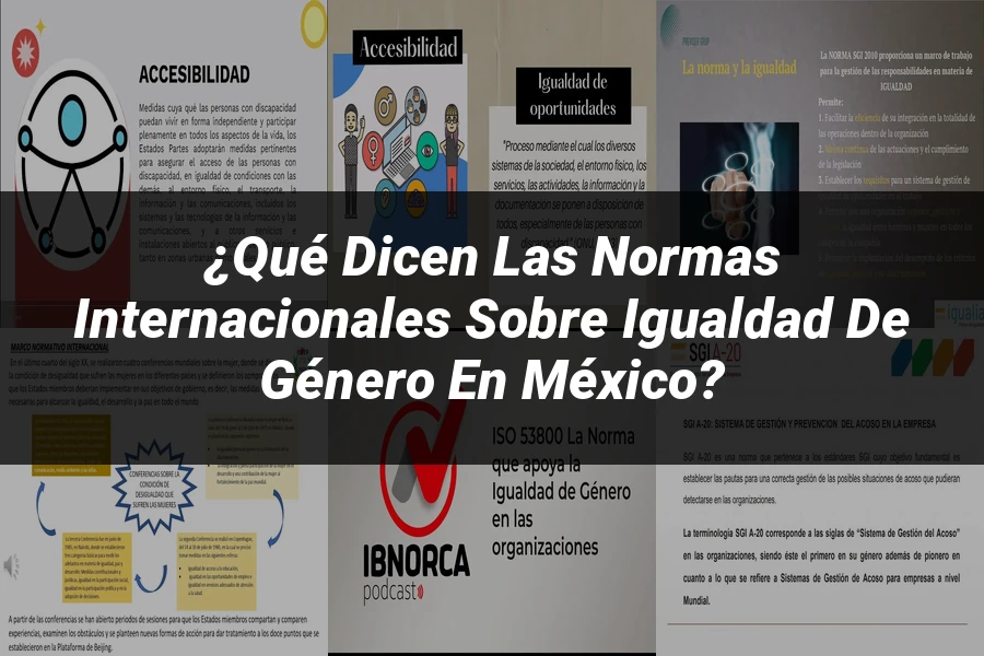 "¿Qué Dicen las Normas Internacionales sobre Igualdad de Género en México?"