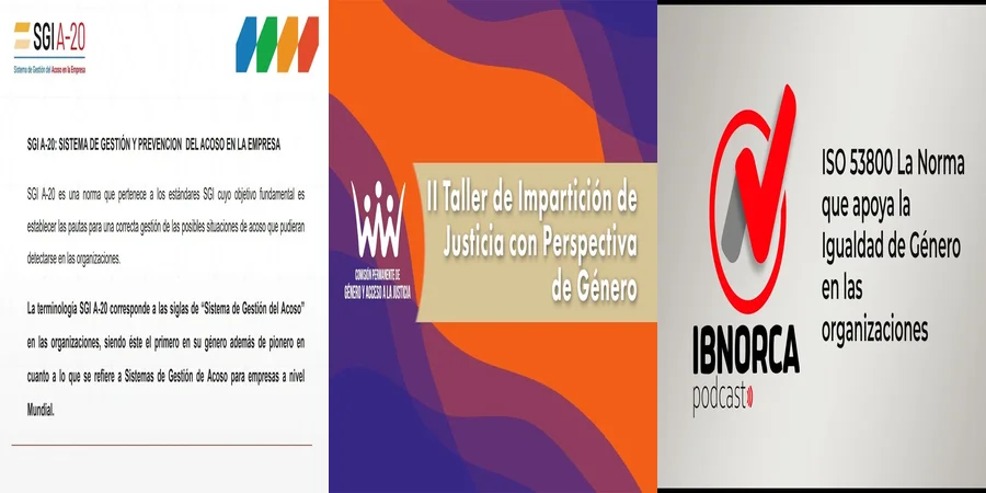 "¿Qué Dicen las Normas Internacionales sobre Igualdad de Género en México?"