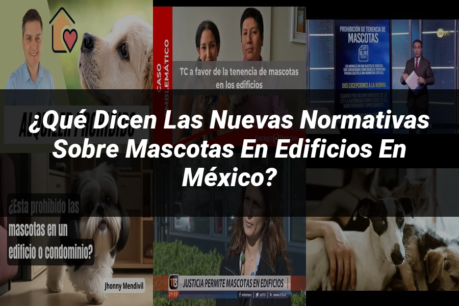 "¿Qué Dicen las Nuevas Normativas sobre Mascotas en Edificios en México?"