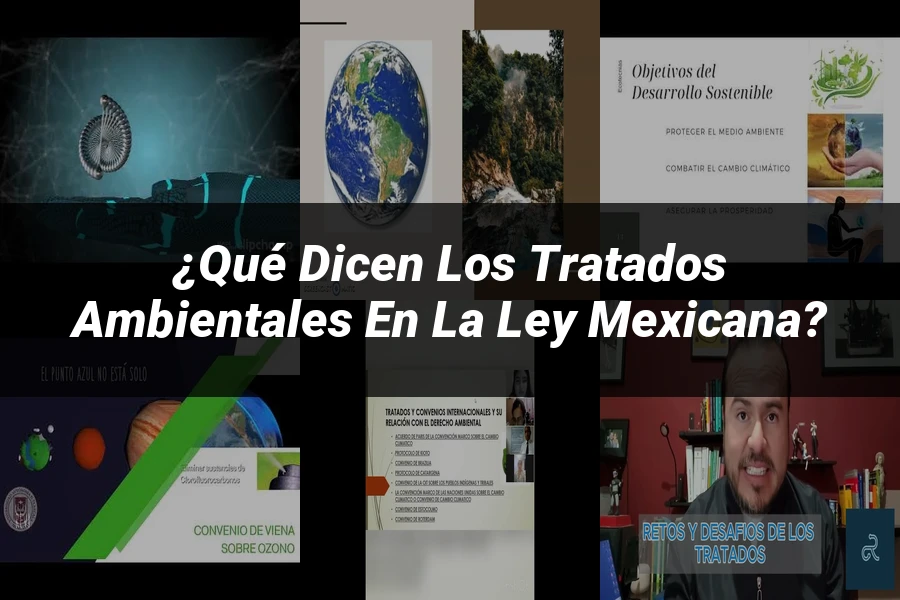 "¿Qué Dicen los Tratados Ambientales en la Ley Mexicana?"