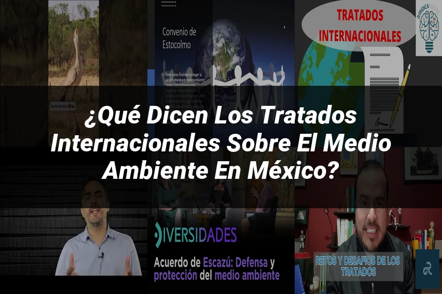 "¿Qué Dicen los Tratados Internacionales sobre el Medio Ambiente en México?"