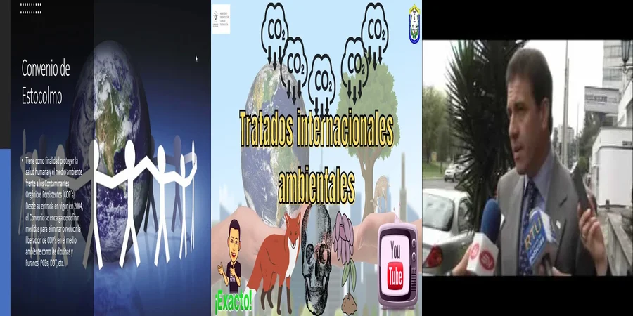 "¿Qué Dicen los Tratados Internacionales sobre el Medio Ambiente en México?"