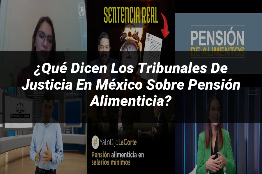 "¿Qué Dicen los Tribunales de Justicia en México sobre Pensión Alimenticia?"