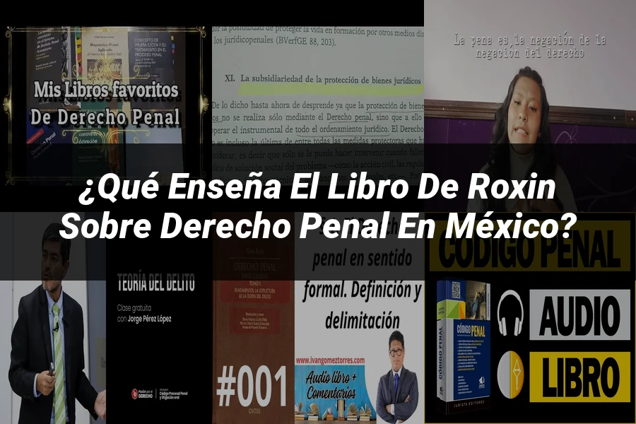 "¿Qué Enseña el Libro de Roxin sobre Derecho Penal en México?"
