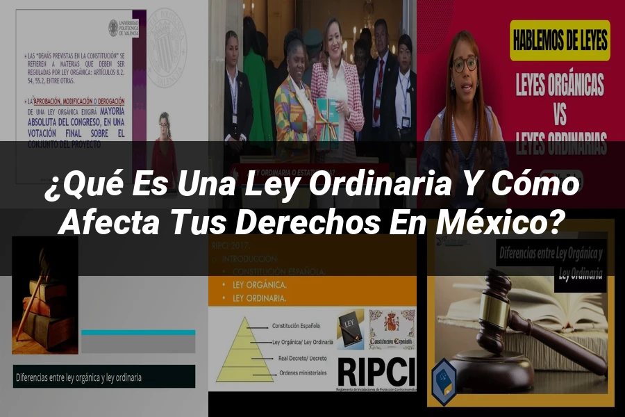 "¿Qué Es una Ley Ordinaria y Cómo Afecta Tus Derechos en México?"