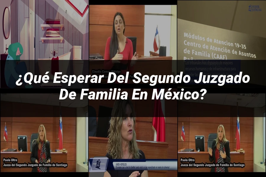 "¿Qué Esperar del Segundo Juzgado de Familia en México?"