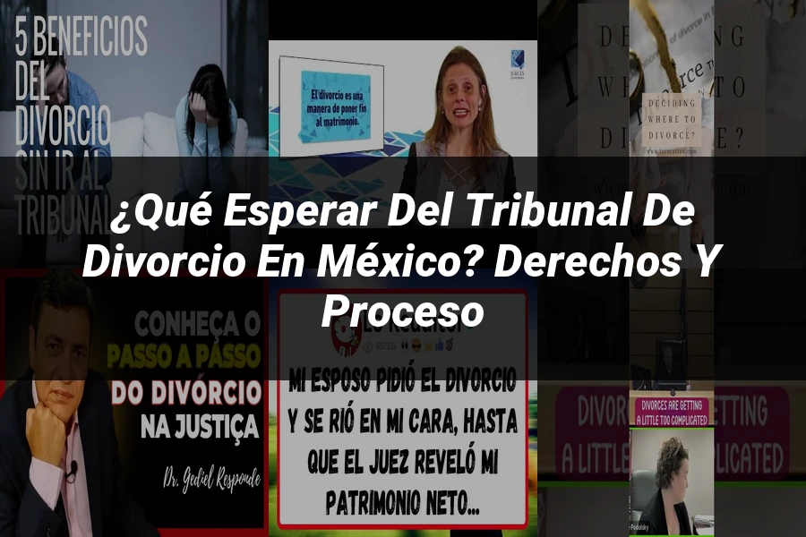 "¿Qué Esperar del Tribunal de Divorcio en México? Derechos y Proceso"