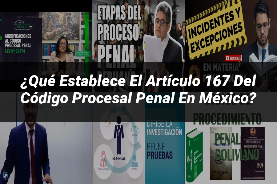 "¿Qué Establece el Artículo 167 del Código Procesal Penal en México?"