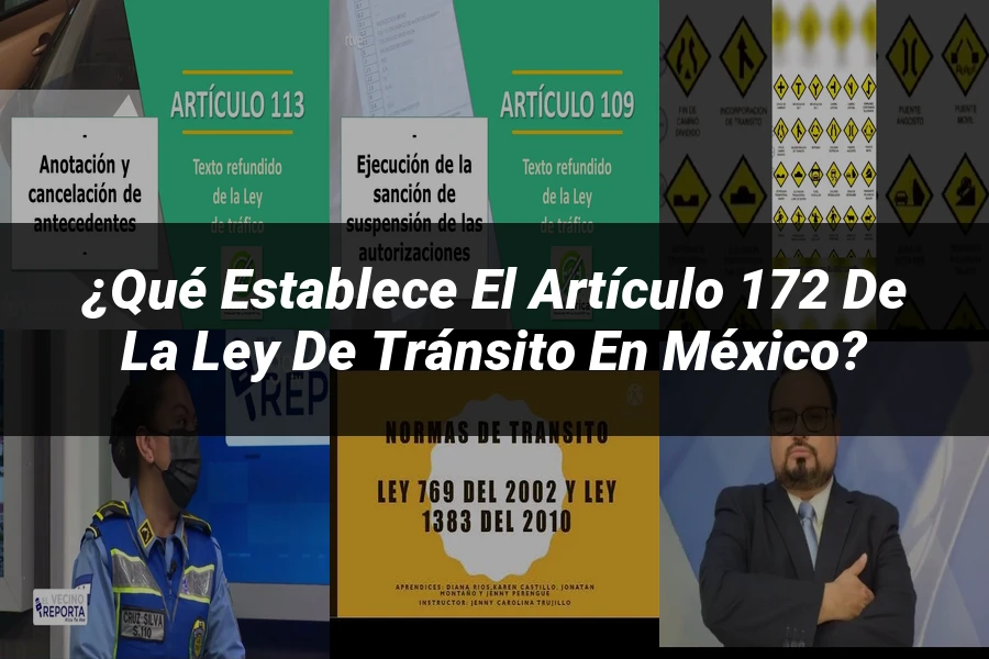 "¿Qué Establece el Artículo 172 de la Ley de Tránsito en México?"