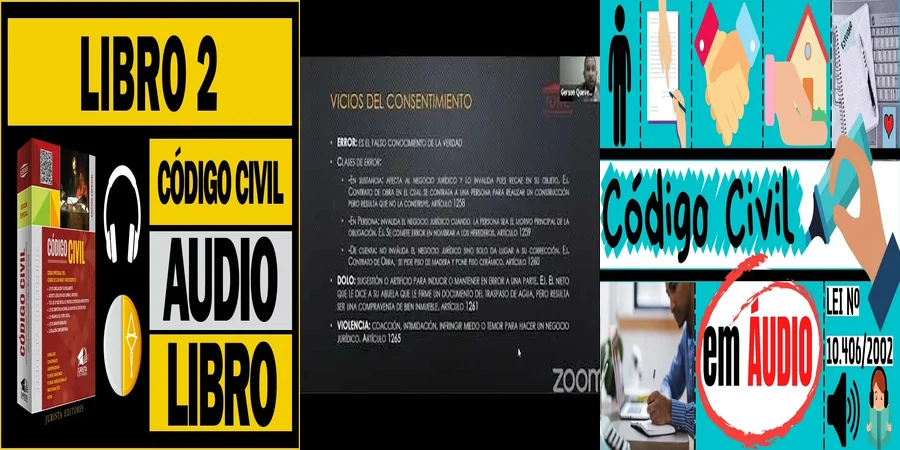 "¿Qué Establece el Artículo 233 del Código Civil en México?"