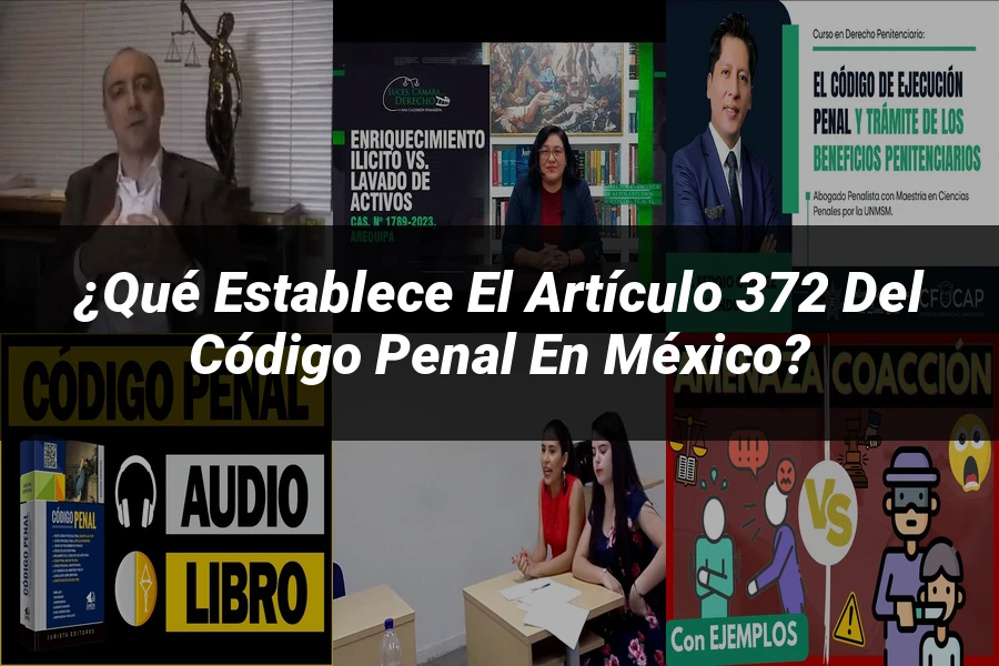 "¿Qué Establece el Artículo 372 del Código Penal en México?"