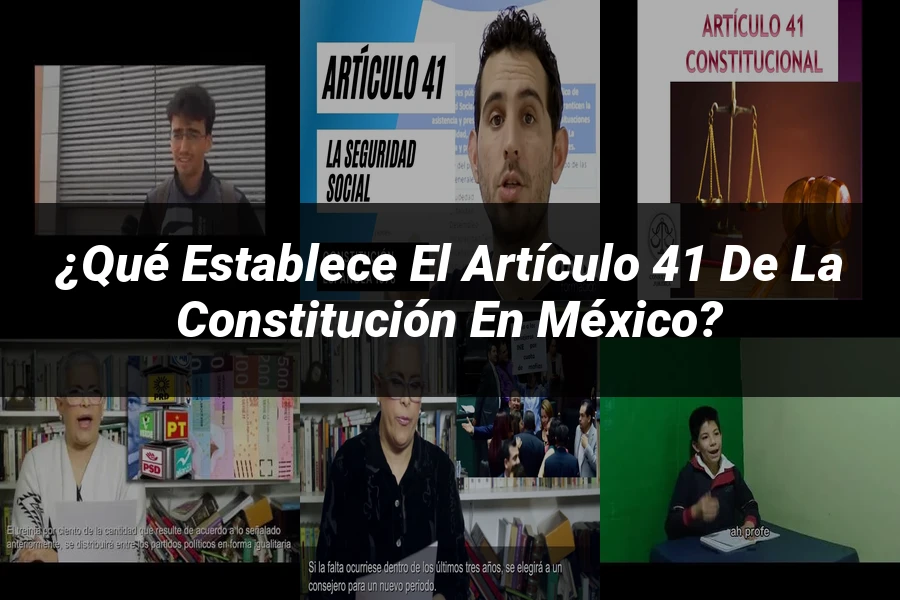 "¿Qué Establece el Artículo 41 de la Constitución en México?"