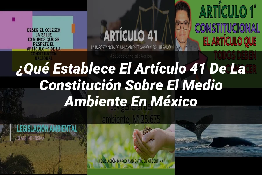 "¿Qué Establece el Artículo 41 de la Constitución sobre el Medio Ambiente en México