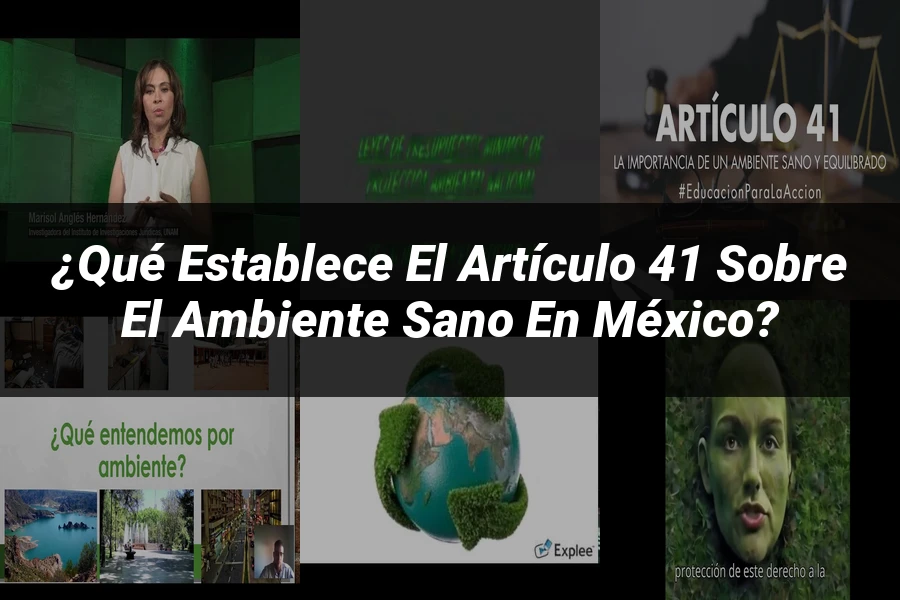 "¿Qué Establece el Artículo 41 sobre el Ambiente Sano en México?"