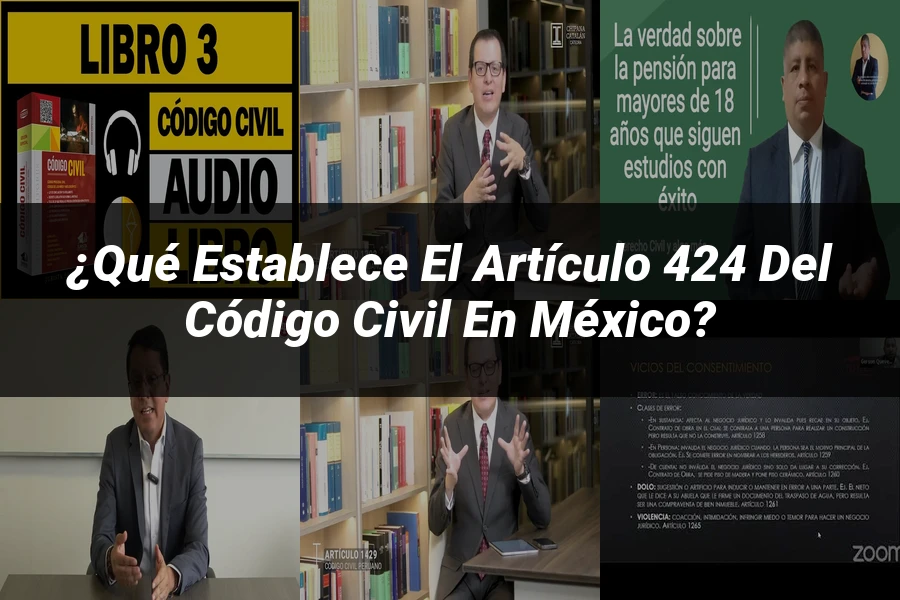 "¿Qué Establece el Artículo 424 del Código Civil en México?"