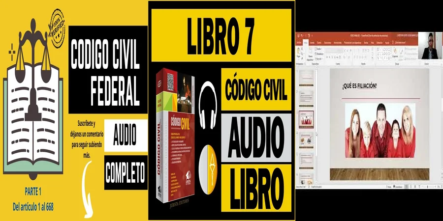 "¿Qué Establece el Artículo 424 del Código Civil en México?"