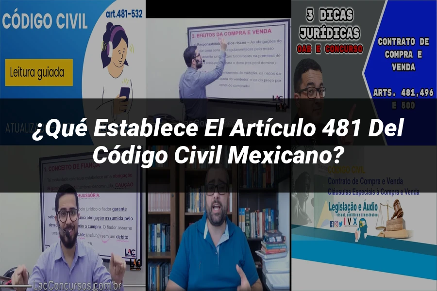 "¿Qué Establece el Artículo 481 del Código Civil Mexicano?"