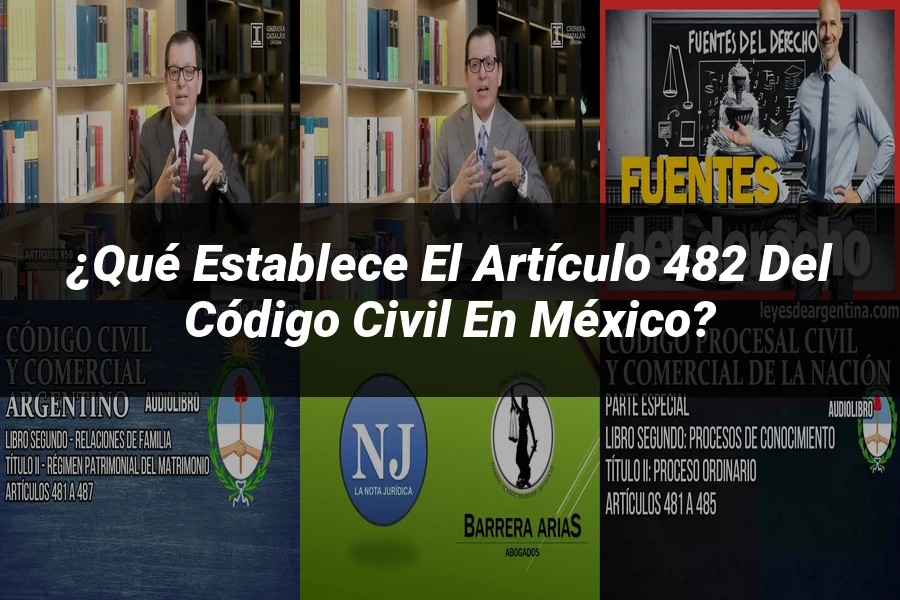 "¿Qué Establece el Artículo 482 del Código Civil en México?"