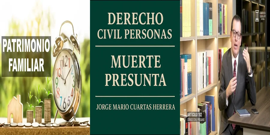 "¿Qué Establece el Artículo 482 del Código Civil en México?"