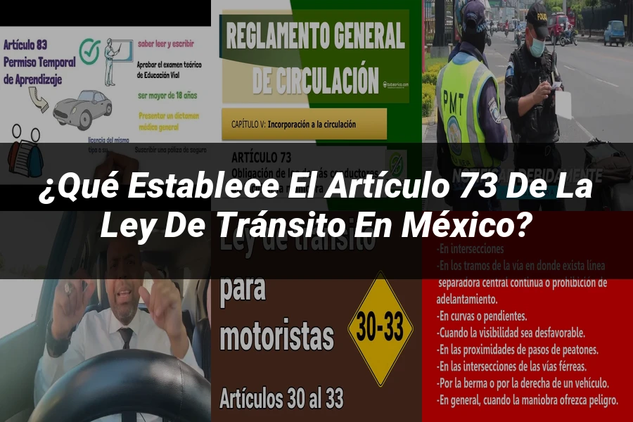 "¿Qué Establece el Artículo 73 de la Ley de Tránsito en México?"