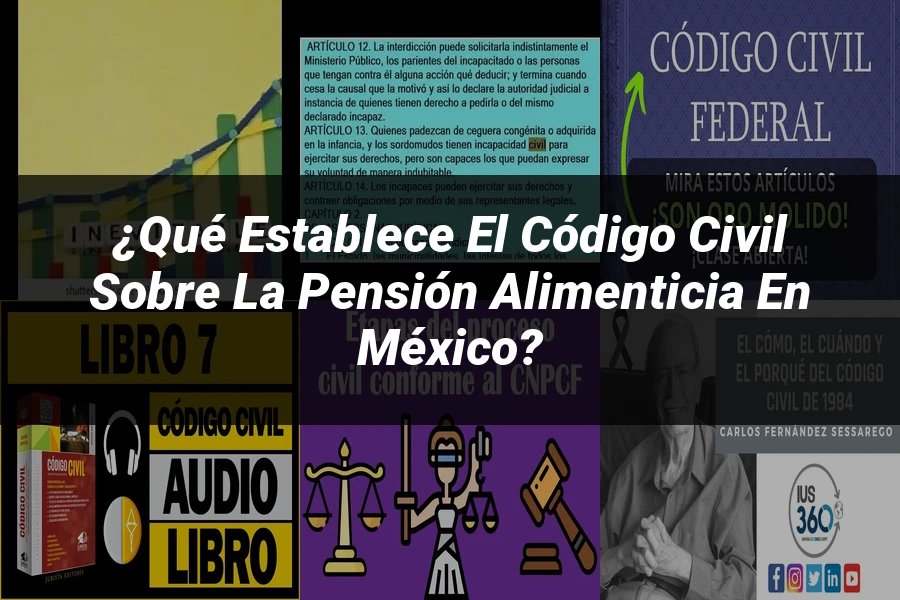 "¿Qué Establece el Código Civil sobre la Pensión Alimenticia en México?"