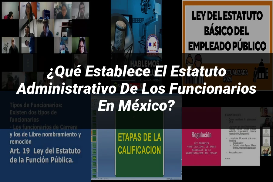 "¿Qué Establece el Estatuto Administrativo de los Funcionarios en México?"