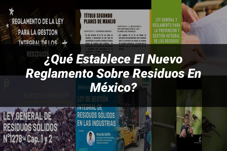 "¿Qué Establece el Nuevo Reglamento sobre Residuos en México?"