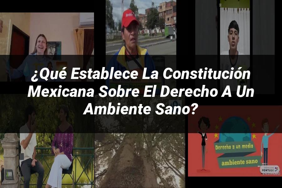 "¿Qué Establece la Constitución Mexicana sobre el Derecho a un Ambiente Sano?"