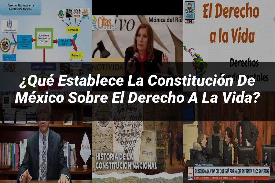 "¿Qué Establece la Constitución de México sobre el Derecho a la Vida?"
