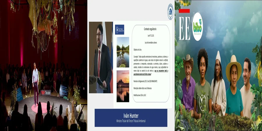 "¿Qué Establece la Ley Ambiental en México Sobre Nuestros Derechos?"