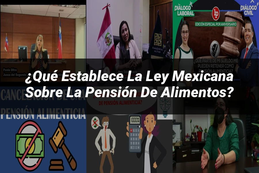 "¿Qué Establece la Ley Mexicana sobre la Pensión de Alimentos?"