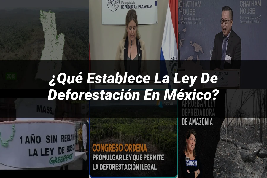 "¿Qué Establece la Ley de Deforestación en México?"