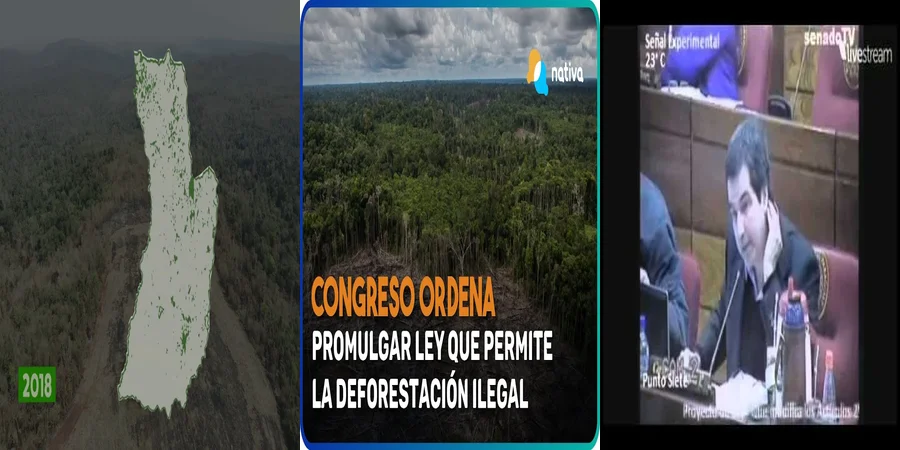 "¿Qué Establece la Ley de Deforestación en México?"