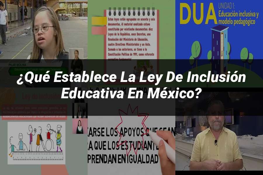 "¿Qué Establece la Ley de Inclusión Educativa en México?"