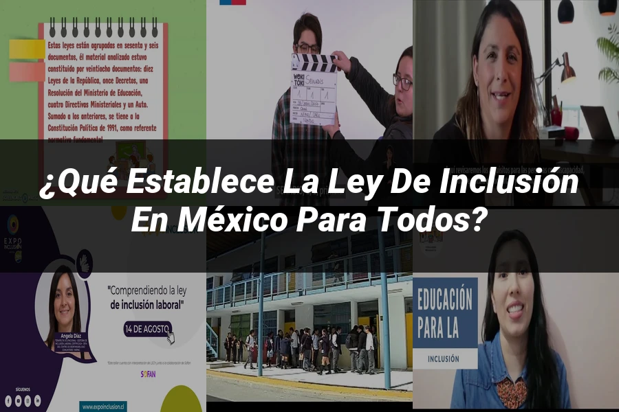 "¿Qué Establece la Ley de Inclusión en México para Todos?"